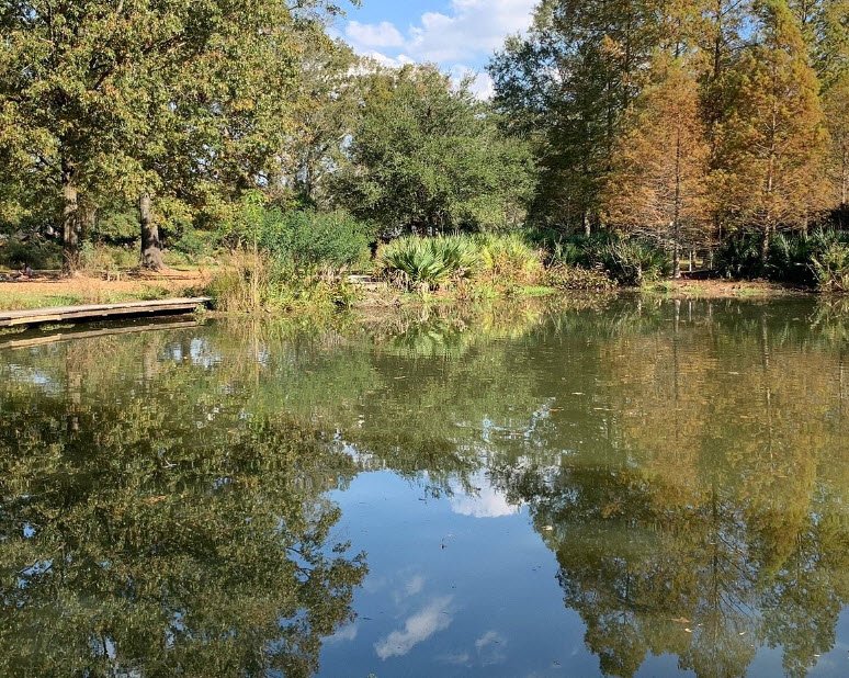 LSU Hilltop Arboretum, United States